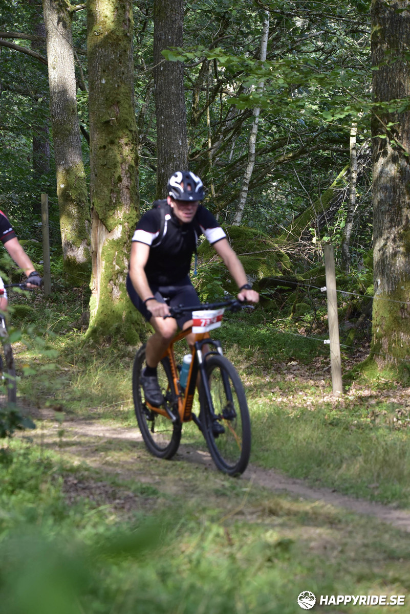 Bild från Bockstensturen 2019